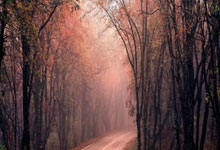 山西男篮签下第11名外援乔治·凯尔三世3-27 11：20.