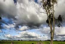 詹姆斯宣布因伤退出全明星正赛！锦观新闻.