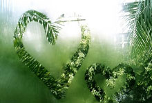 开元棋牌：最近五个赛季五大联赛都进球20+的两人：姆巴佩、哈兰德.